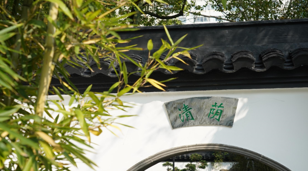 Sunlit bamboo leaves cast shadows on the white wall.png