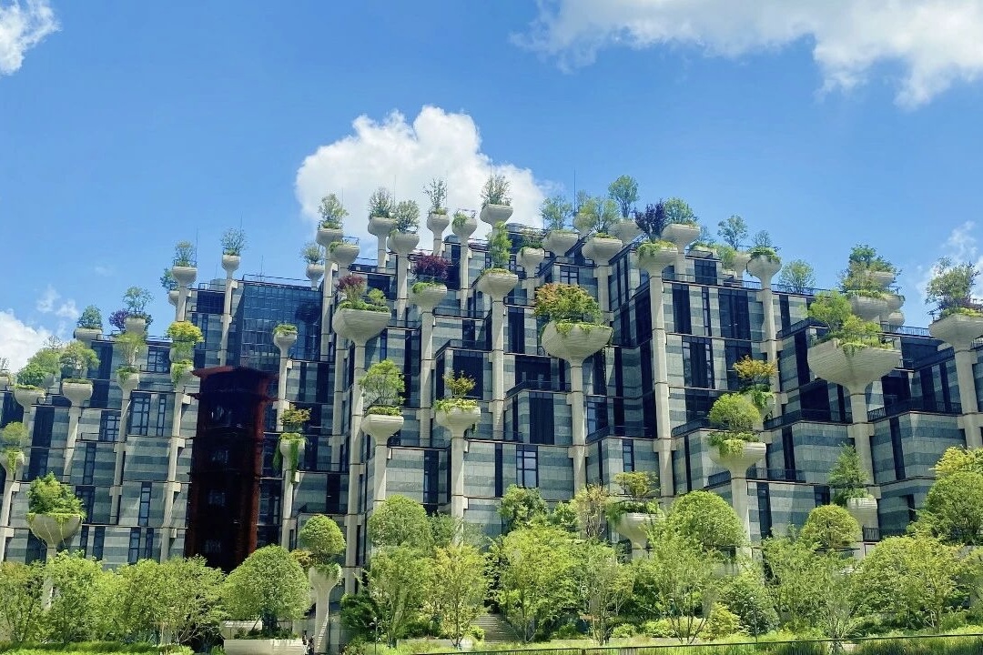 Shanghai's 'floating forest' launches autumn art month for global visitors