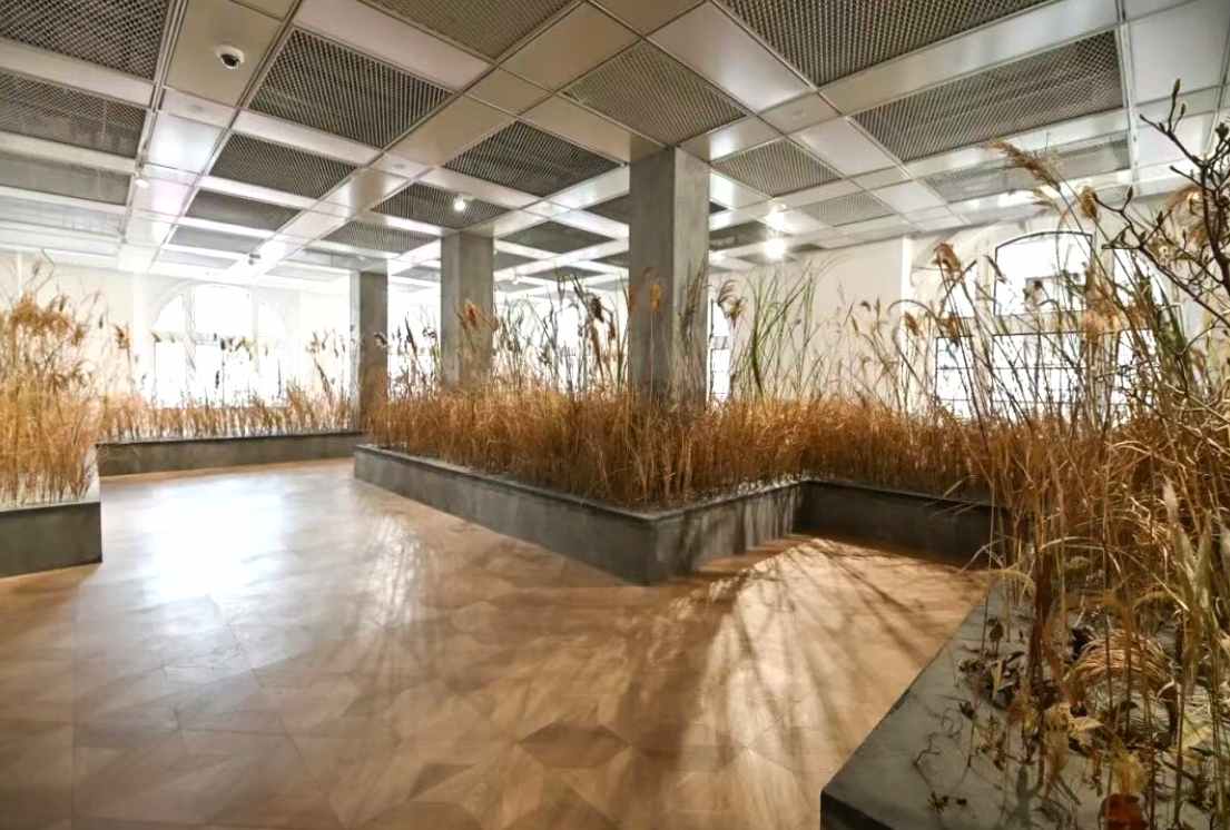 Before the Earth Falls Down1.jpg