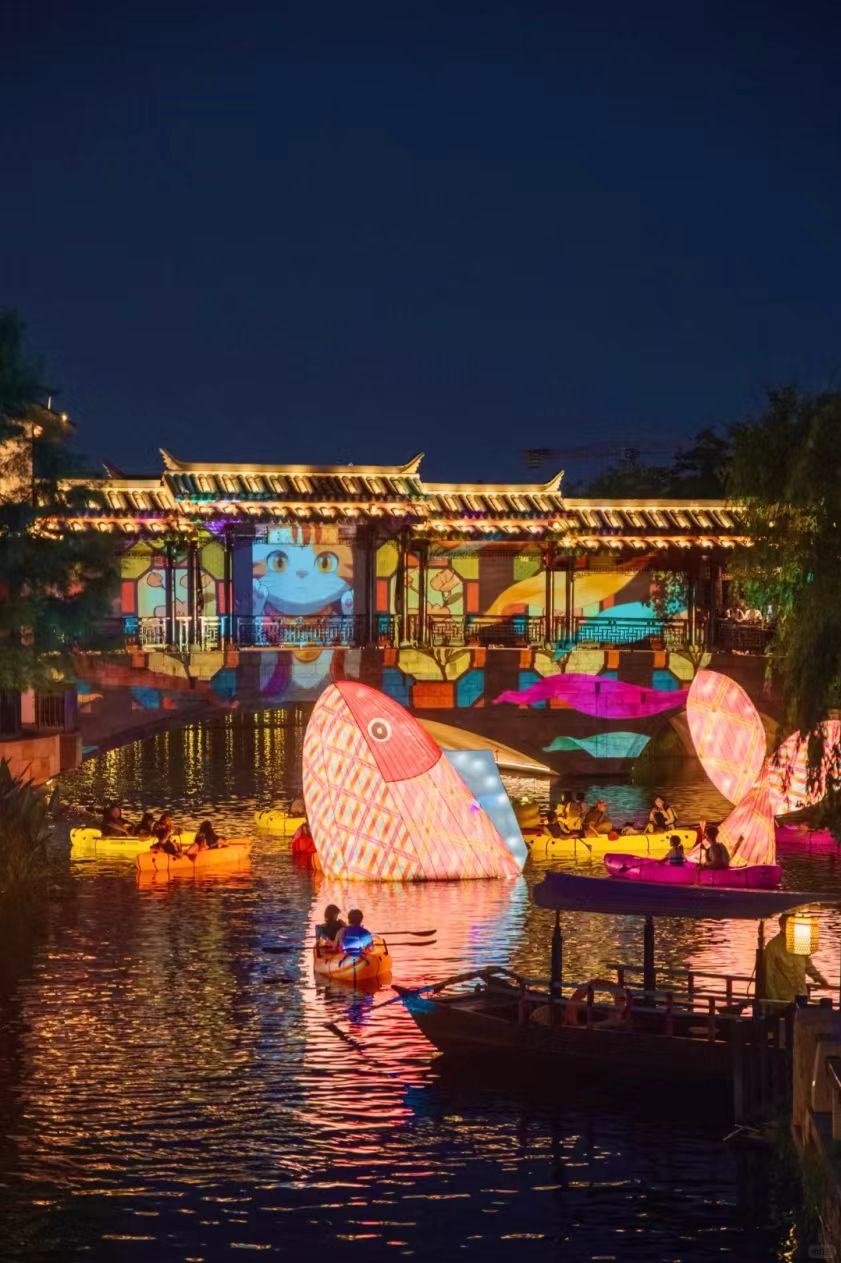The light show features fish-shaped light installations..png