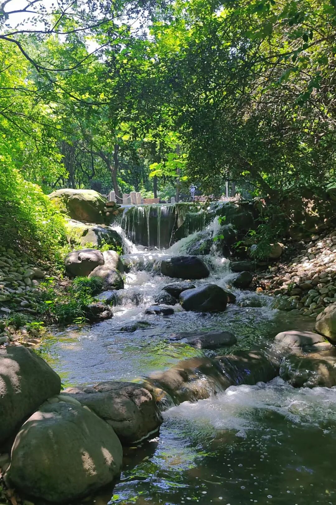Xinhongqiao Central Garden.jpg