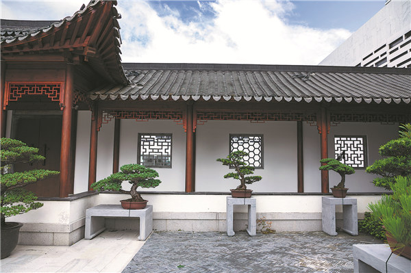 Tree and stone culture gives a minimal impression of art.jpeg