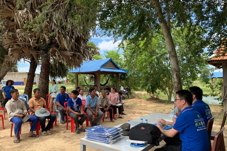 Chinese experts help modernize rice-prawn farming techniques, improving Cambodian farmers' livelihoods