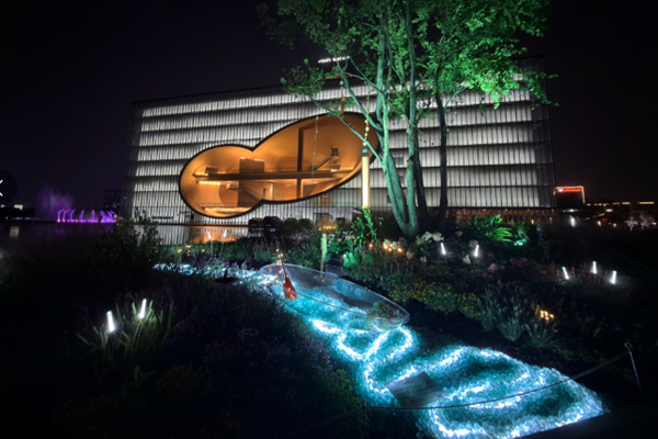 Explore Jiading's light spectacle with Scott