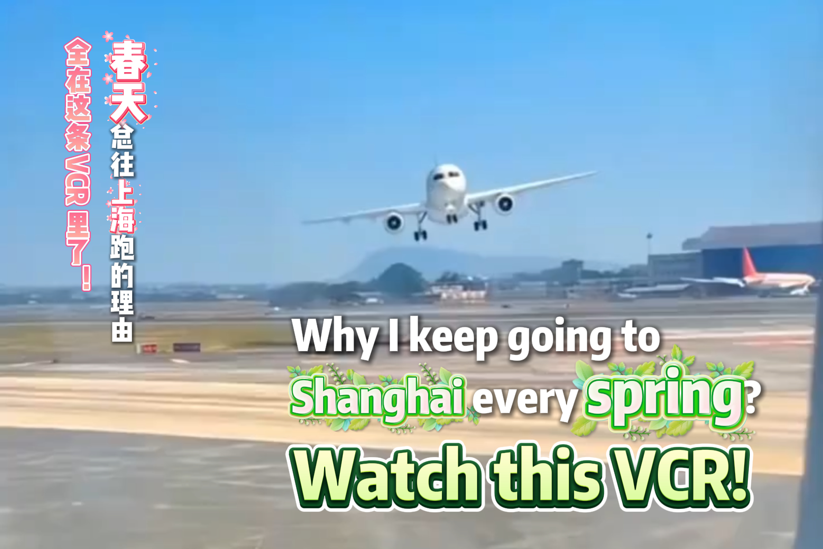 Why I keep going to Shanghai every spring?