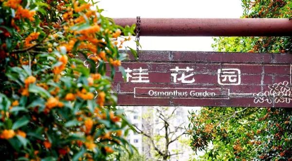 Shanghai Botanical Garden.png