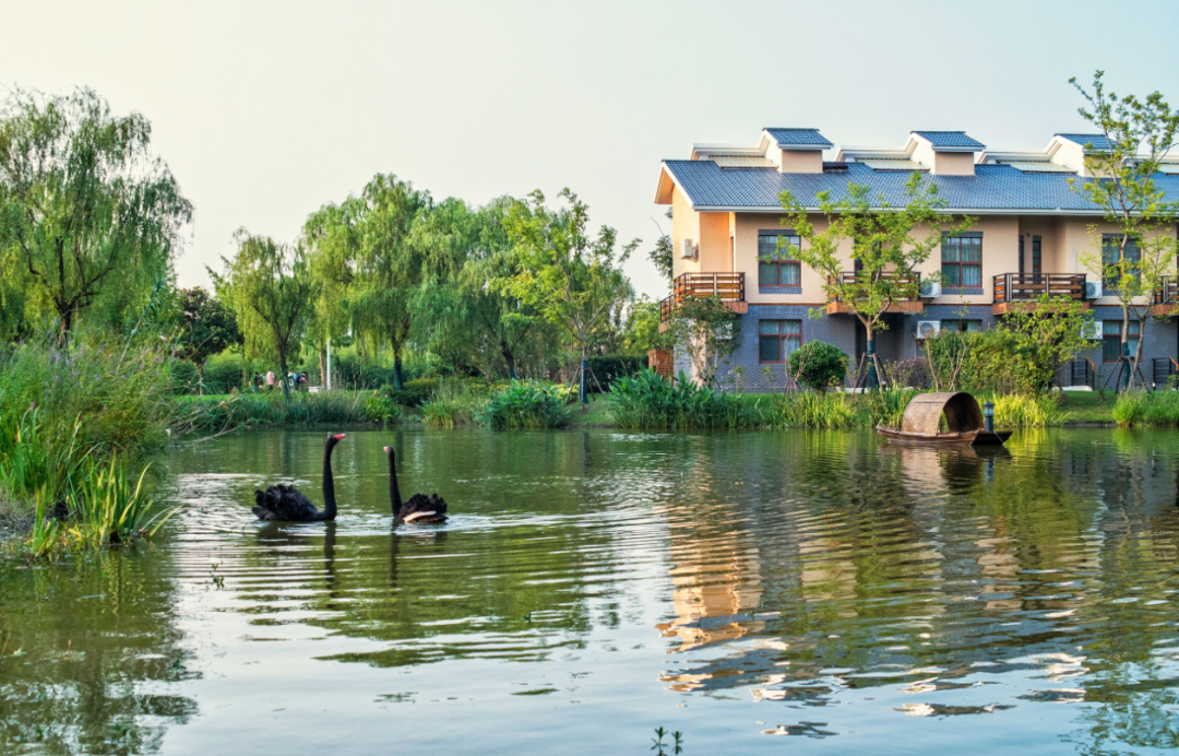 The picturesque Yingdong Resort.png