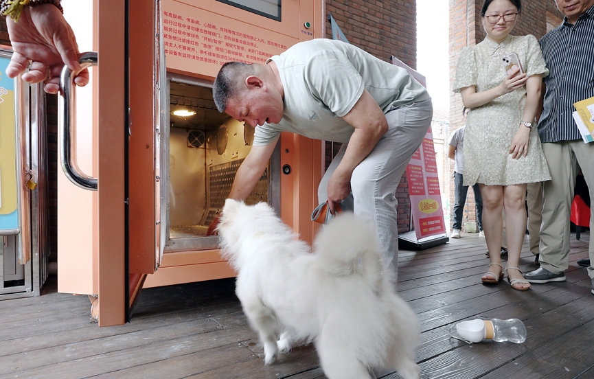 Skip the groomer: Try self-service pet cleaning machine