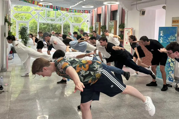 German students explore Chinese traditions at Tongji University