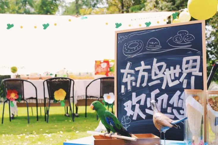 oriental birds world.jpg