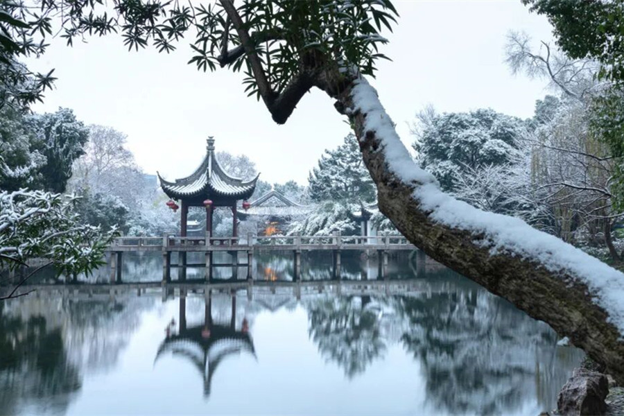 Discover Shanghai's winter landscape: Nine themed routes for a cozy getaway (I)