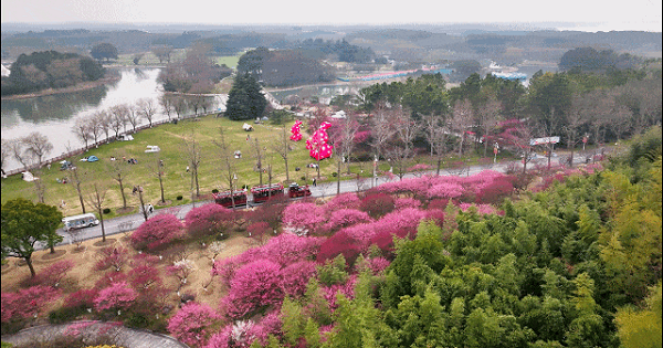 图片2.png 图片2.png