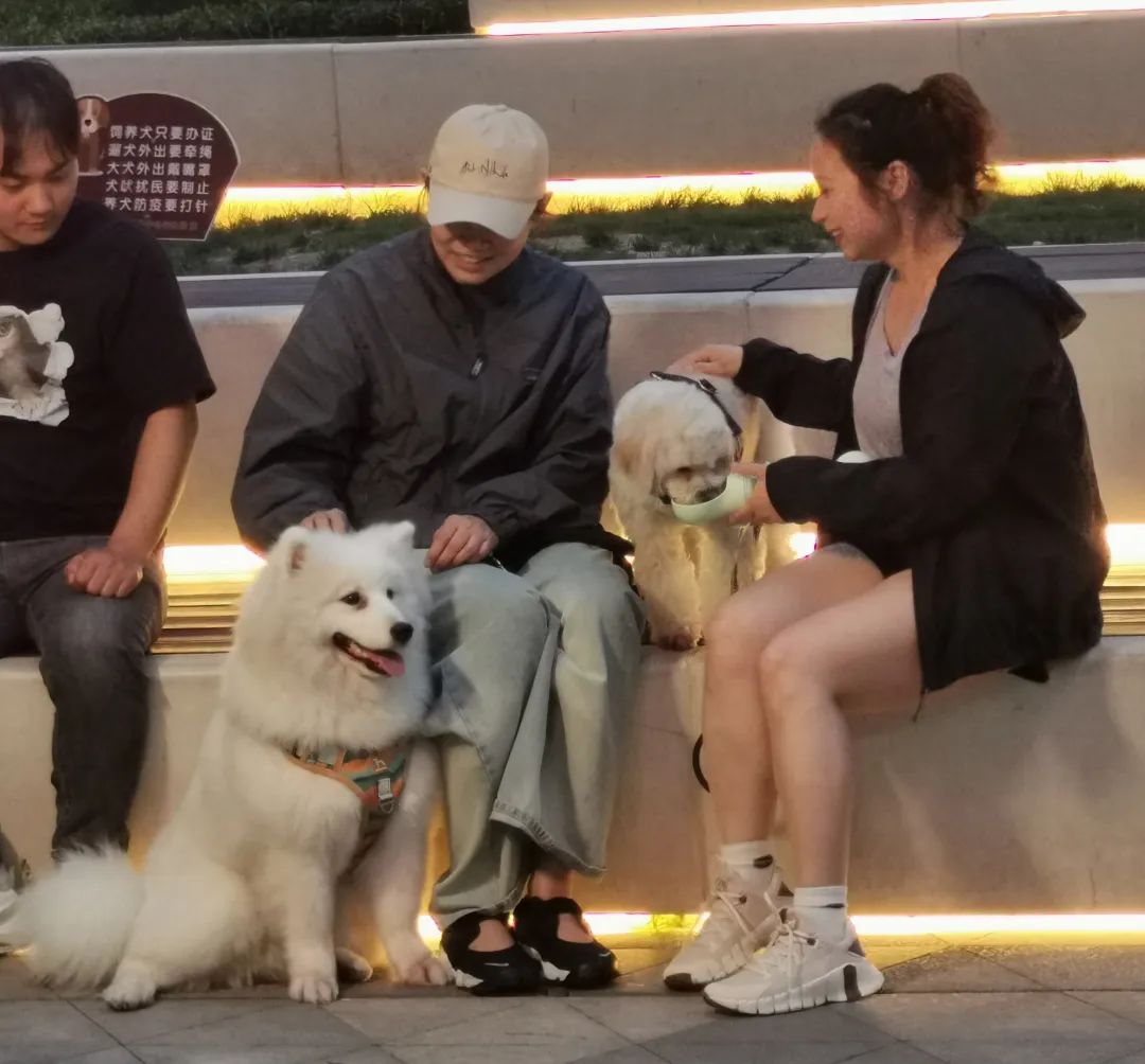 Haisu Cultural Plaza.jpg