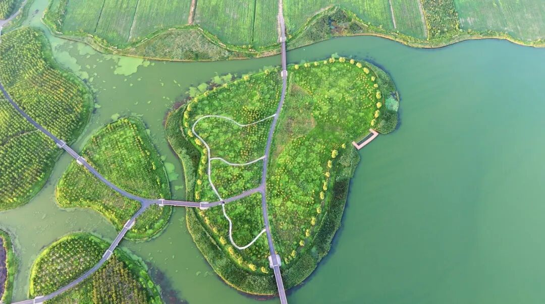 An aerial view of a scenic section of the race course.jpg