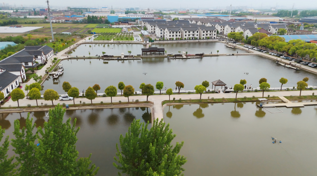 An aerial view of the fish pond.png