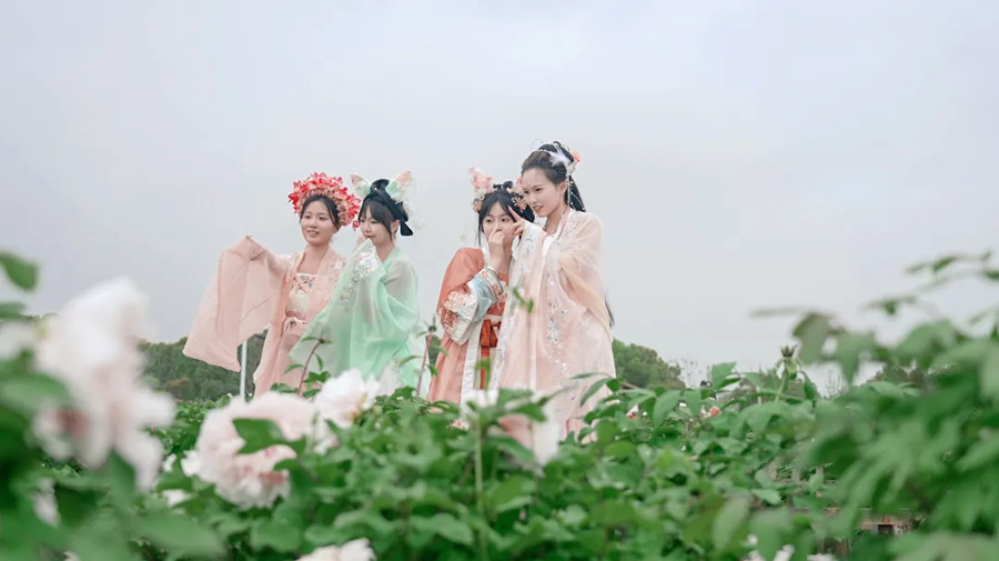The festival offers free entry to visitors dressed in hanfu.jpg