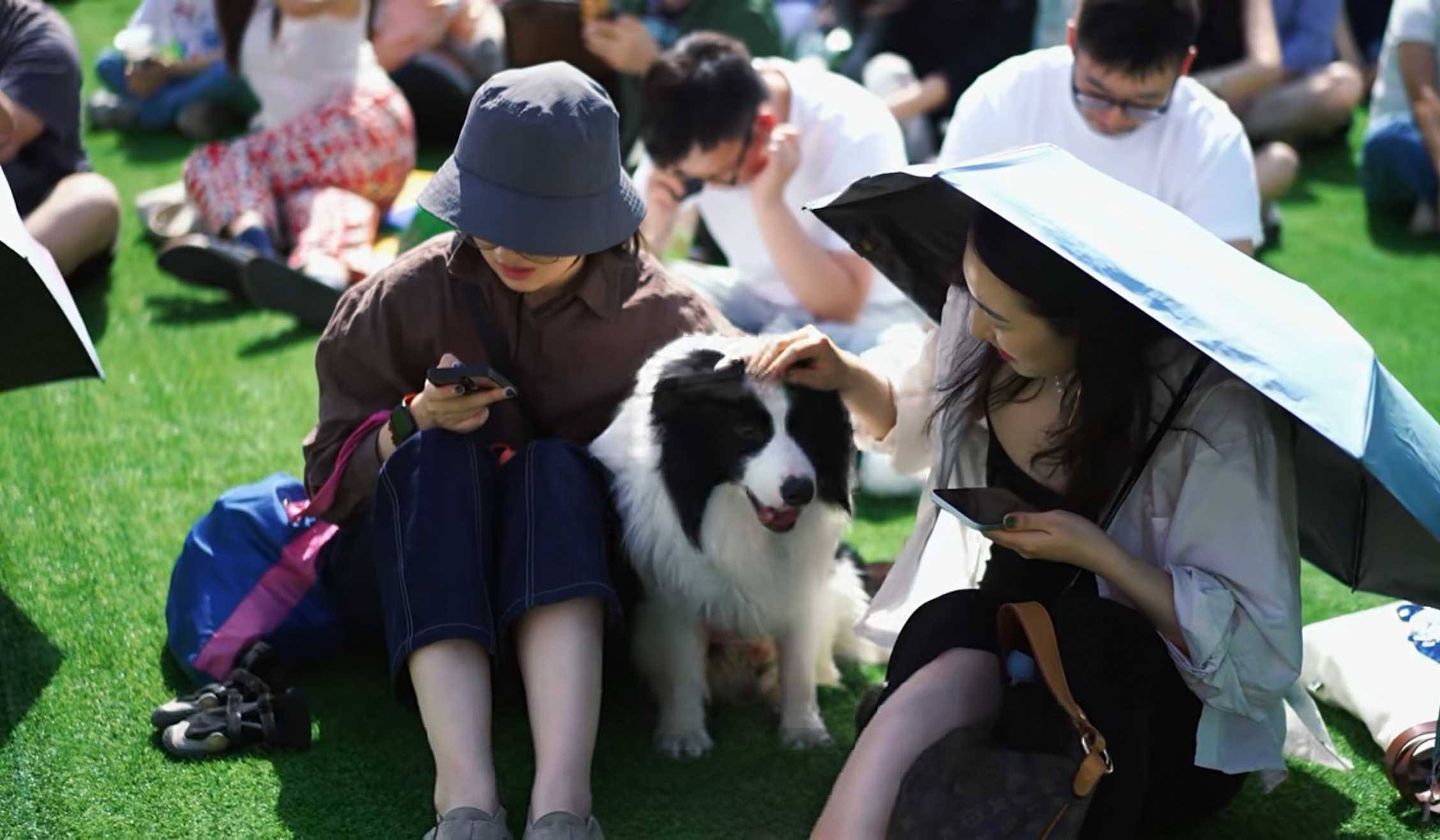 Feel free to bring your furry friends along.jpg