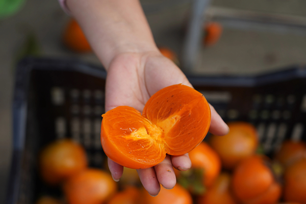 Autumn delights: Persimmons and where to enjoy them