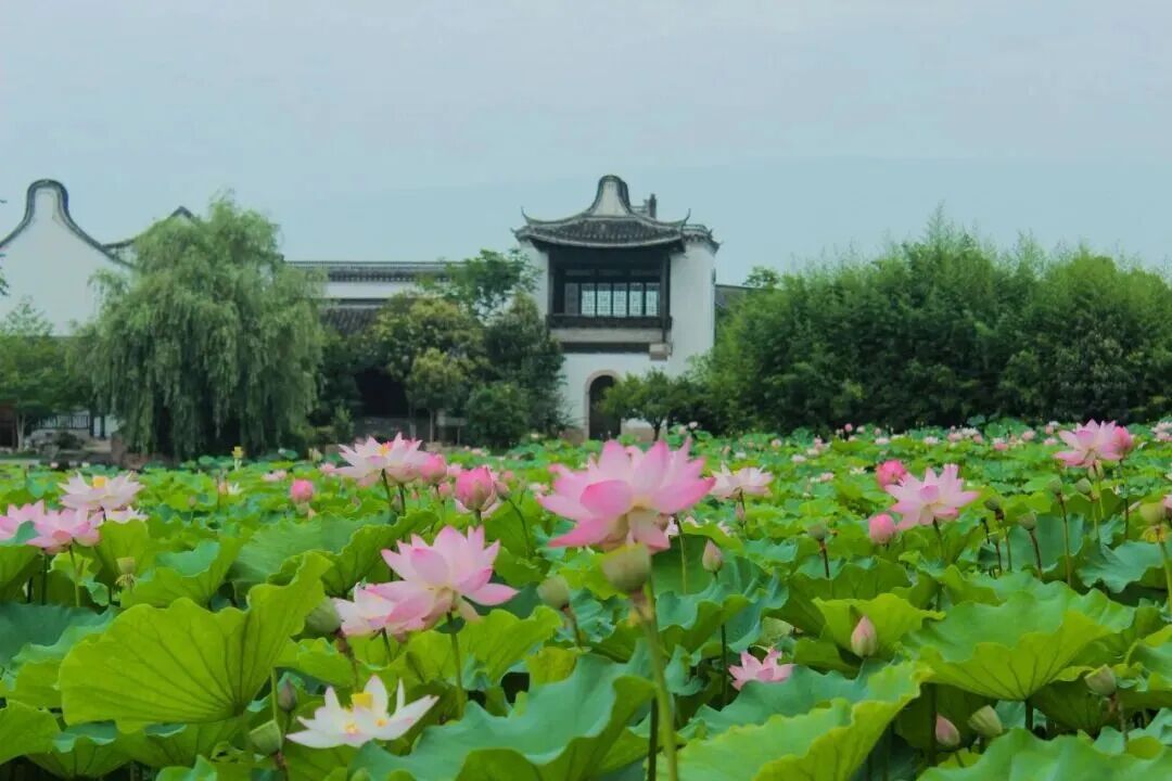 Langxia Country Park.jpg