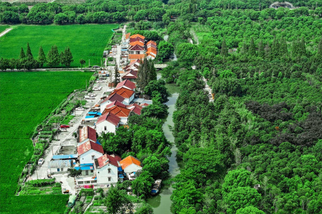 Shanghai's 14 must-visit rural tourism villages