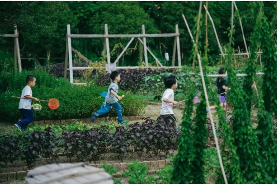 Family-friendly farms in Shanghai: A guide to rural fun with kids