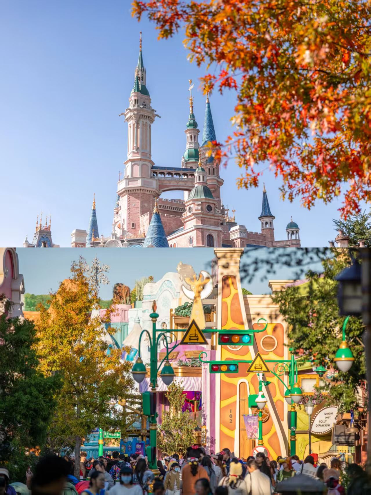 Shanghai Disney Resort in the gentle glow of early winter.jpg