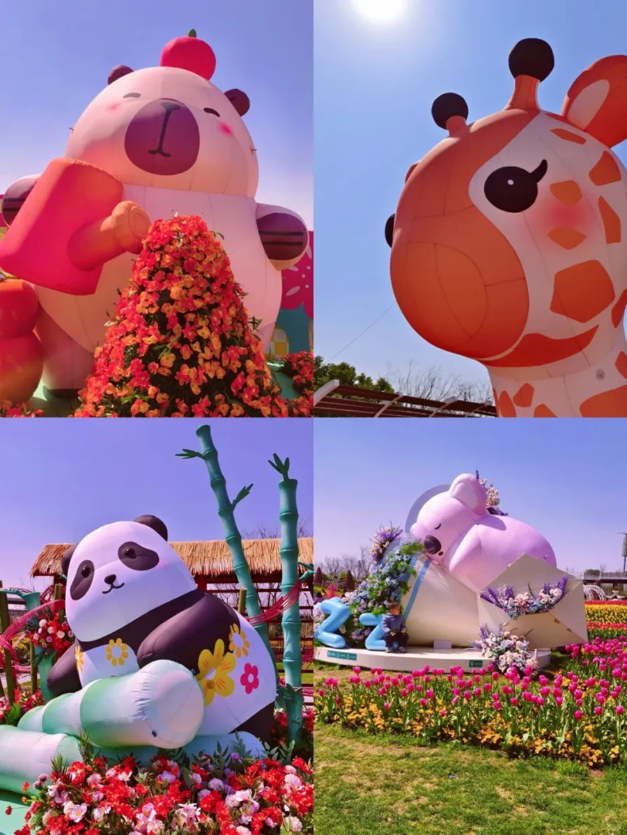 Miracle Garden at Pujiang Country Park.jpg Miracle Garden at Pujiang Country Park.jpg