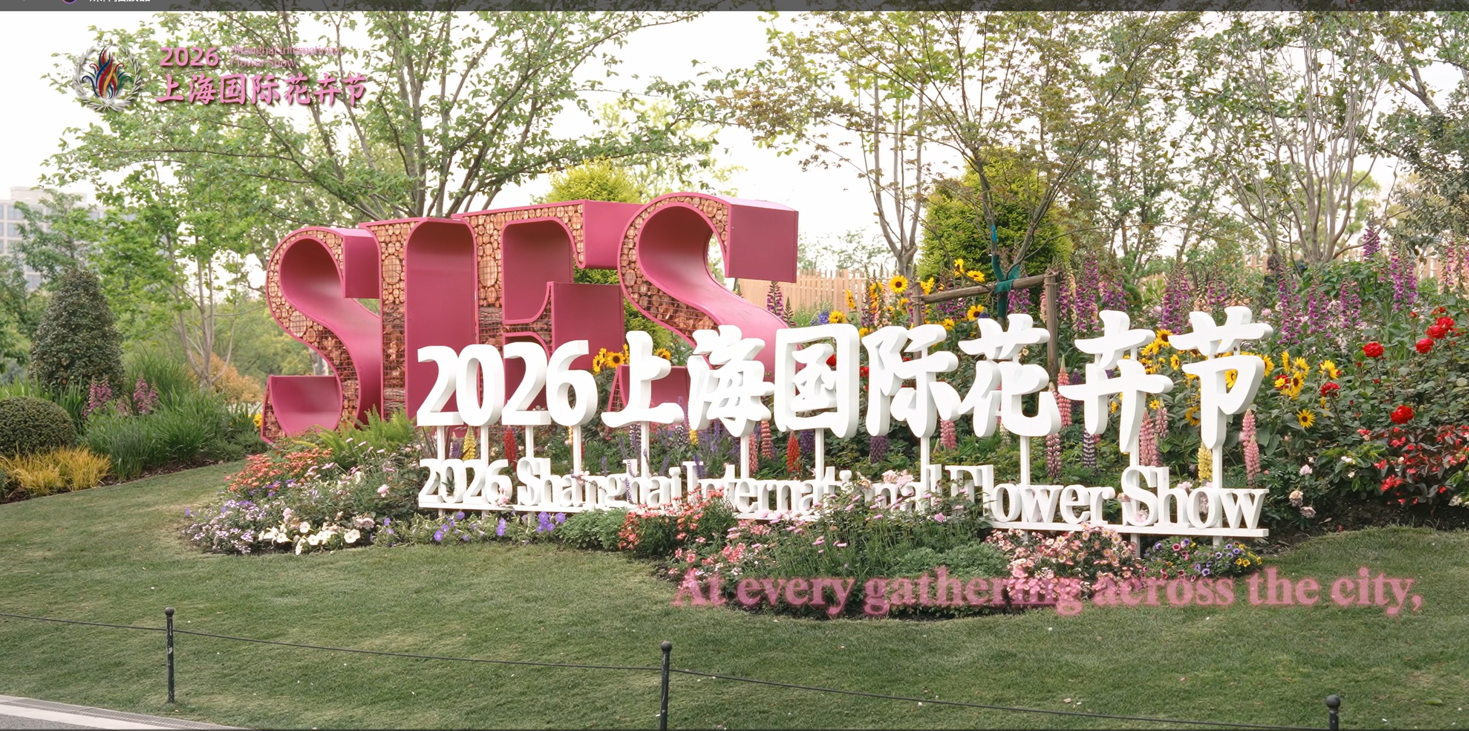 What to see at 2026 Shanghai International Flower Show