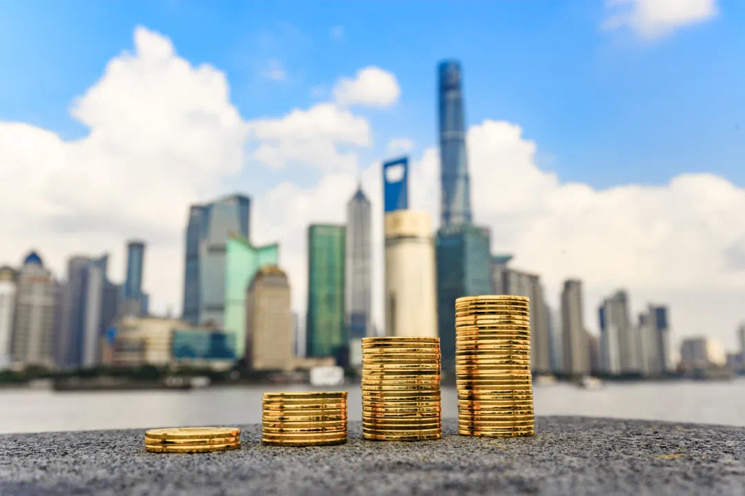 investment performance in 2025 H1.jpg