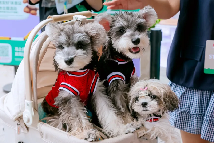 Starbucks China launches 'interest-community spaces' in over 1,800 stores