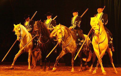 Ethereal Equestrian Show to kick off China tour in the Year of Horse