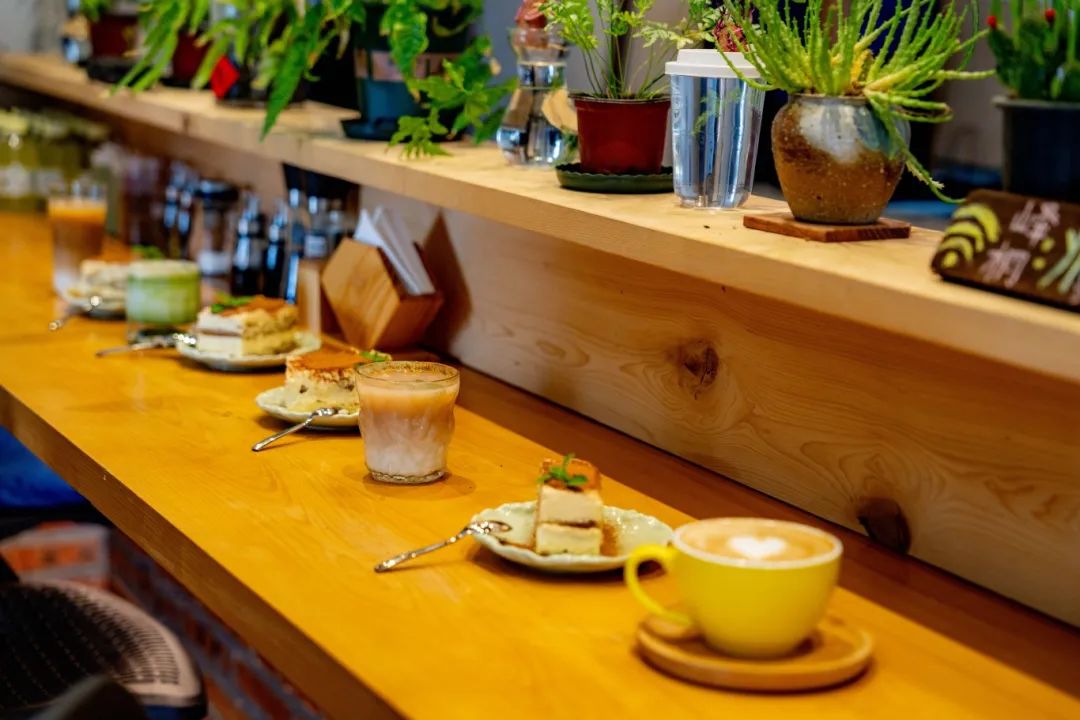 Discover hidden coffee gems of Qingpu