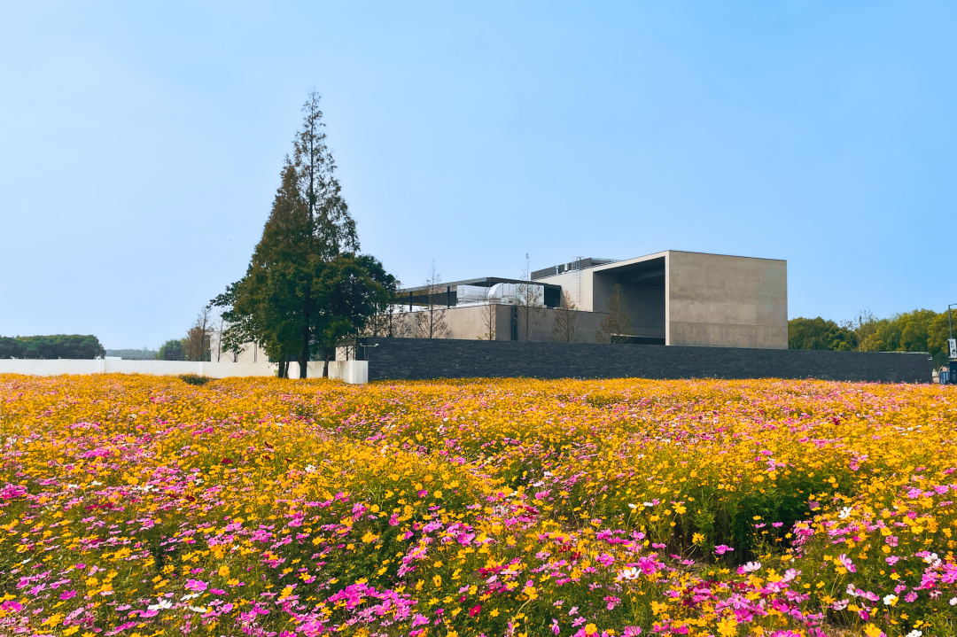 The museum rises from a sea of flowers..png