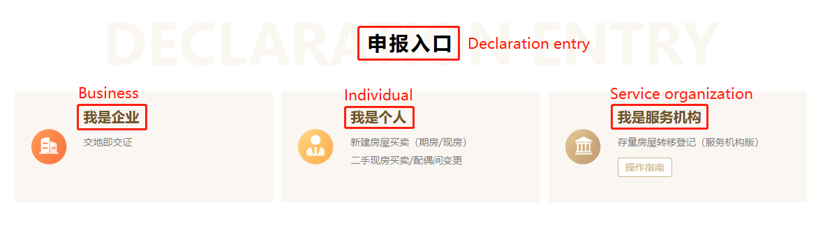 4 Click Business, Individual or Service organization under Declaration entry..png