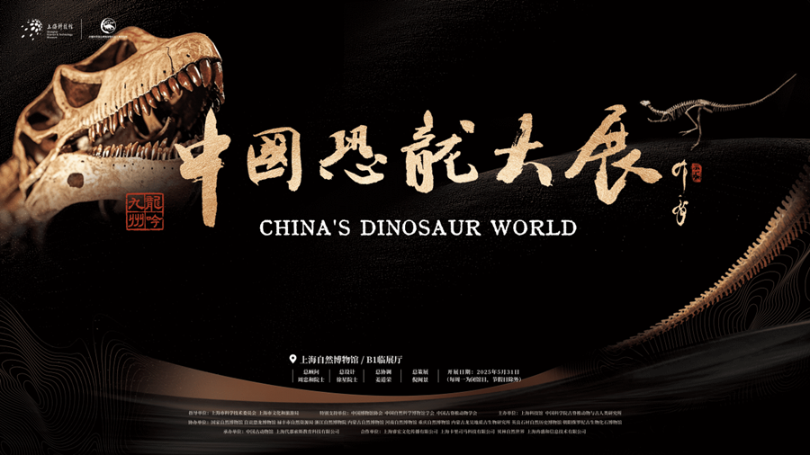 Rare dinosaur specimens unveiled at Shanghai Natural History Museum.png