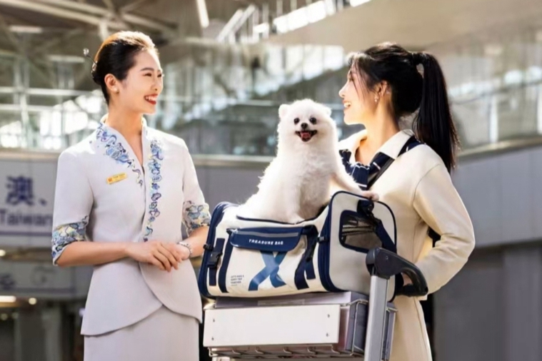 Hainan Airlines expands pet travel policy