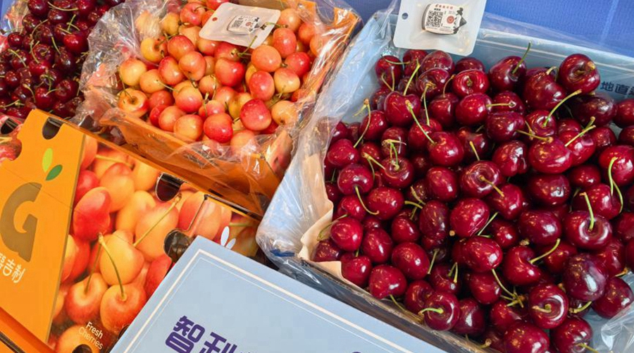 China Eastern Airlines celebrates decade-long Chilean cherry imports