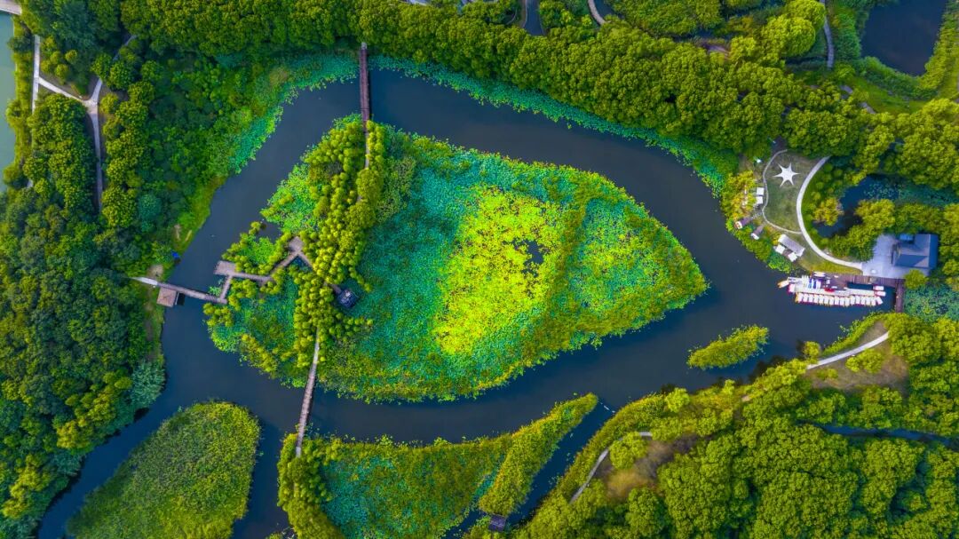 Tongli National Wetland Park.jpg