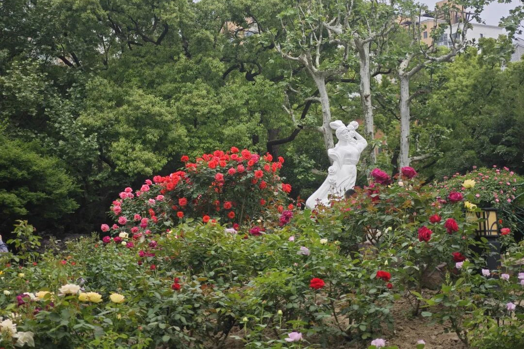 2026 Shanghai International Flower Show unveils 5 scenic spots in Putuo district