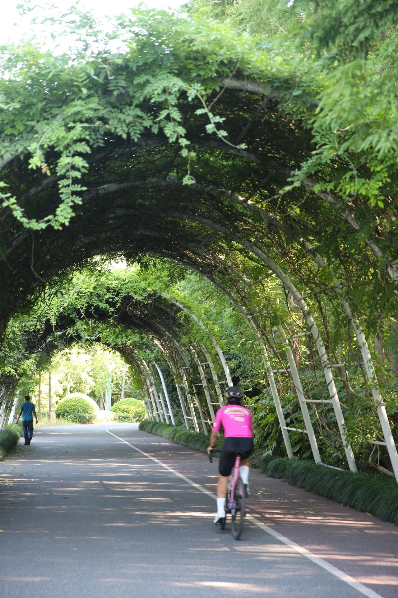 cycling routes 1.jpg