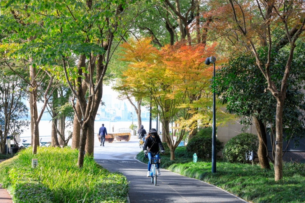 Discover Shanghai's scenic greenways on two wheels