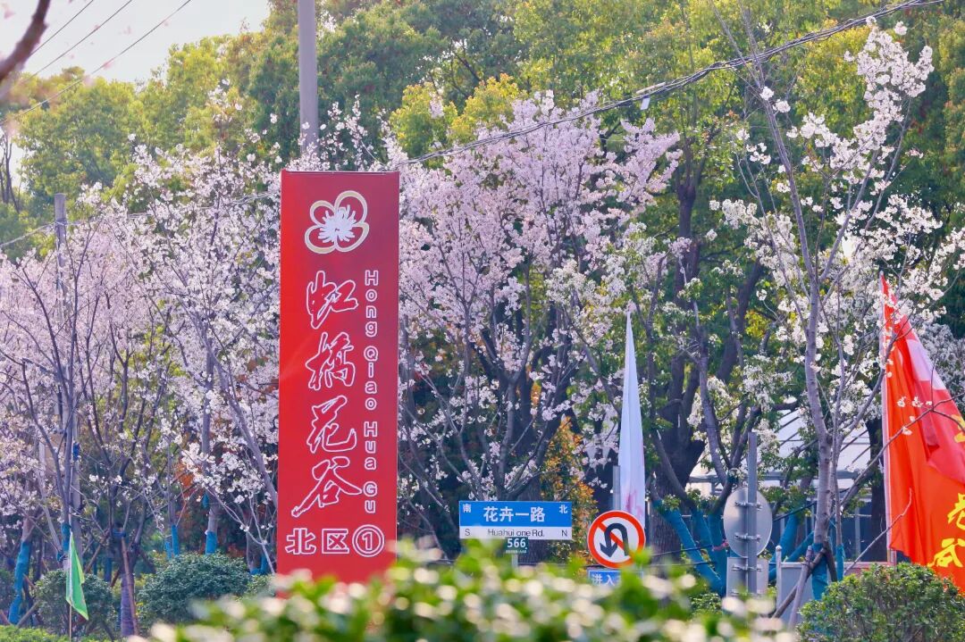 微信图片_2026-05-13_155122_673.jpg