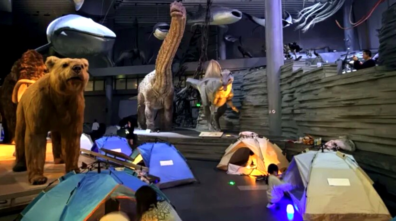 Visitors spend the night in tents at Shanghai Natural History Museum..jpg