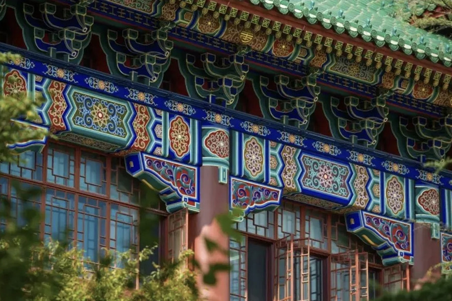 Yangpu's campus heritage: History built in brick and books