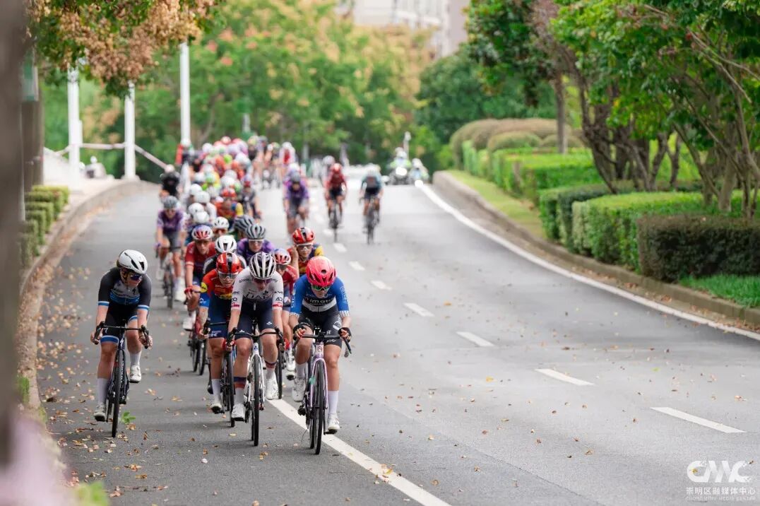 One-day cycling guide to Chongming Dongtan