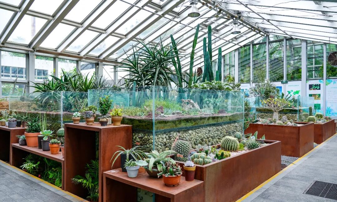 Shanghai Botanical Garden conservatories1.jpg