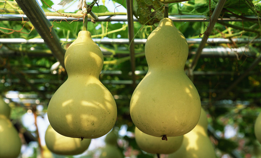 Start of Autumn-10.jpeg