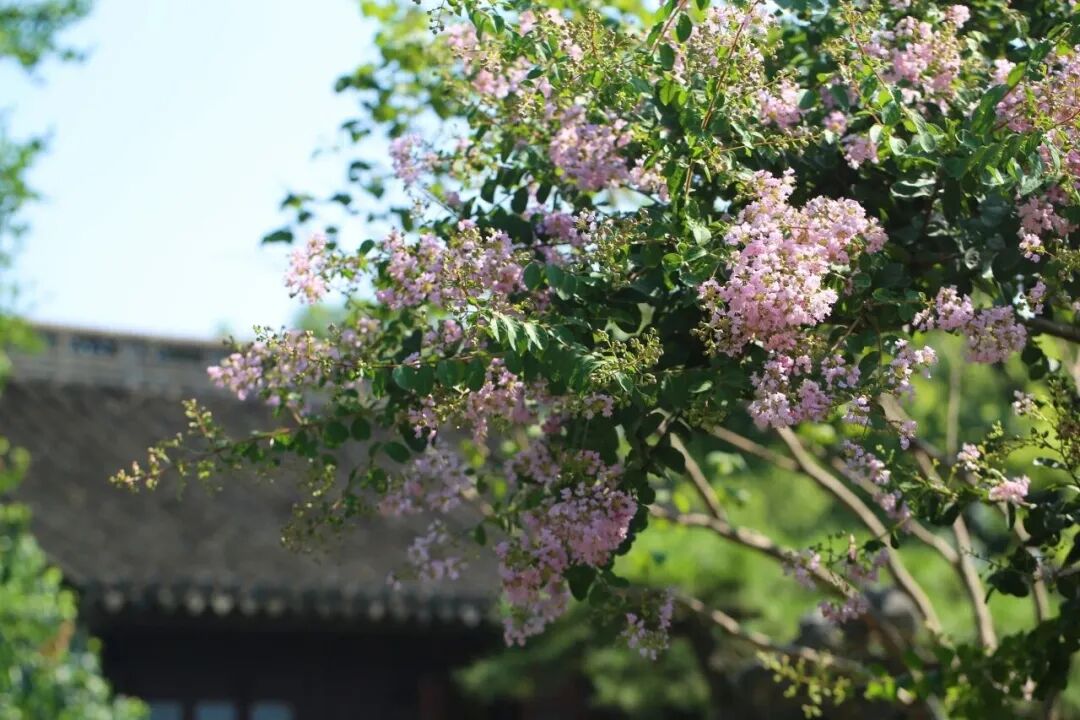 Guyi Garden.jpg