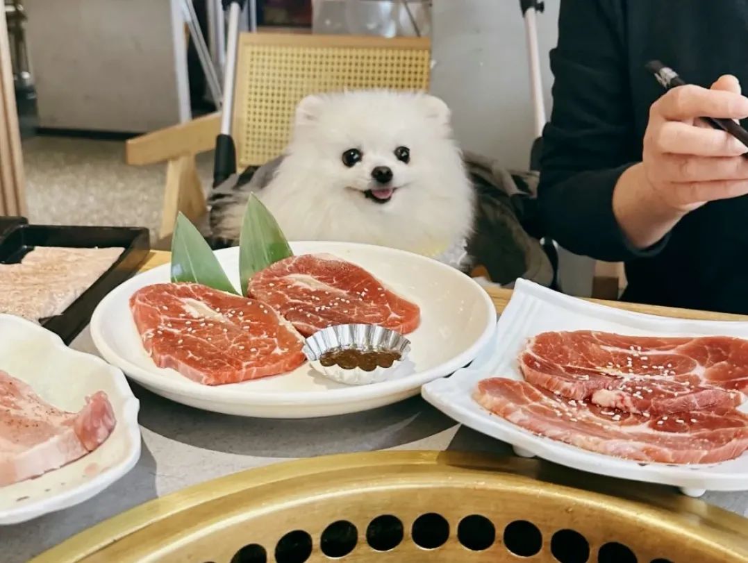 Gyutaishi Japanese barbecue.jpg