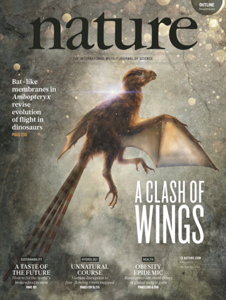 Rare dinosaur specimens unveiled at Shanghai Natural History Museum1.png